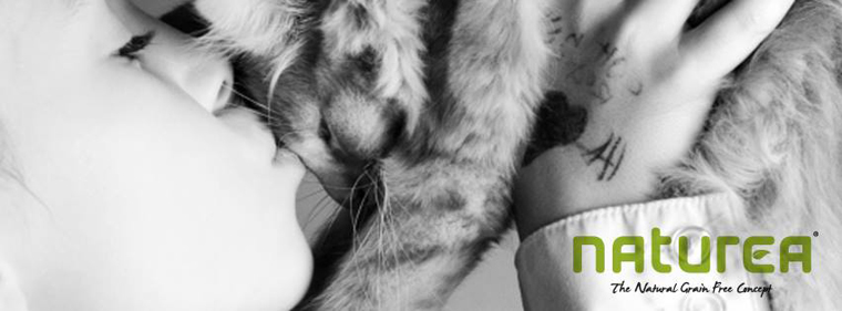 Naturea Kedi Banner